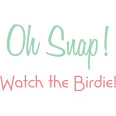 oh snap! photography words