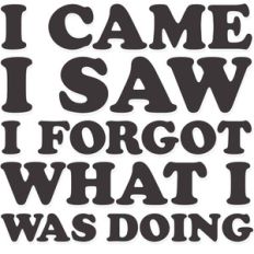 i came, i saw, i forgot what i was doing