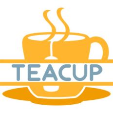 split teacup