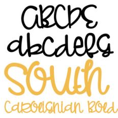 pn south carolignian bold