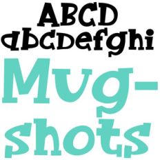 zp mugshots