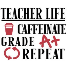 teacher life