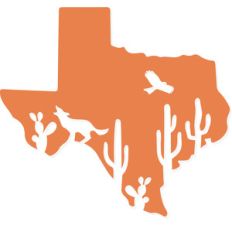 texas landscape