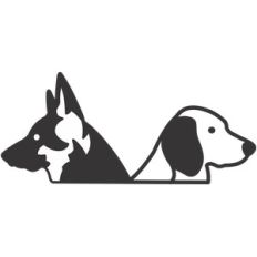 dog faces