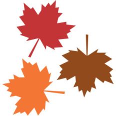 fall leaves