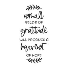 small seeds of gratitude