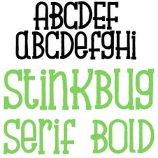 pn stinkbug serif bold