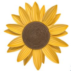 lined sunflower