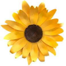 giant sunflower