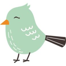 bird