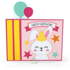 6x6 wiper card birthday bunny