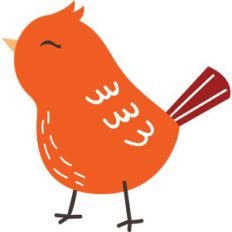 bird