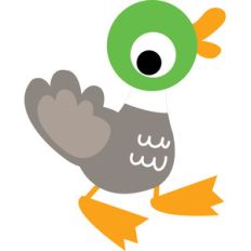 duck