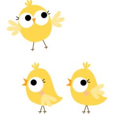 chicks