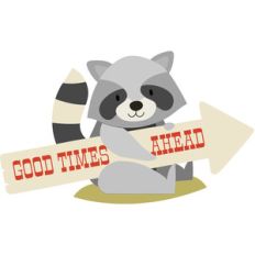 raccoon with sign
