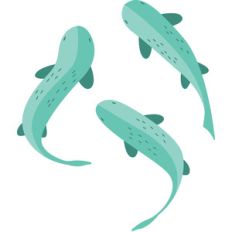 swimming fish
