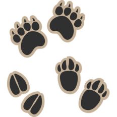 animal tracks