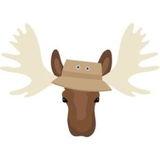 moose head with fishing hat