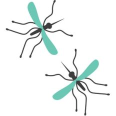 mosquitos