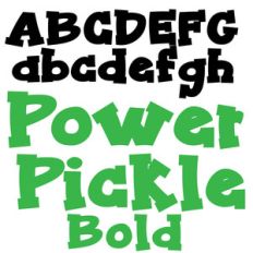 pn power pickle bold