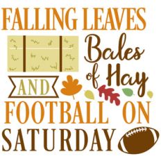 fall leaves hay football