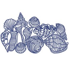 sea shells repeting border