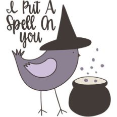 i put a spell on you halloween bird