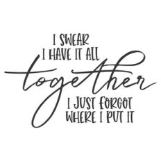 i swear i have it all together