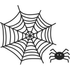 spiderweb and spider