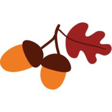 acorns and leaf