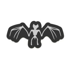 bat skeleton
