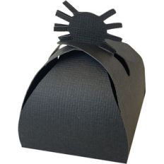 spider cube box