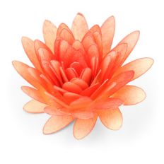 rolled flower