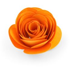 rolled flower
