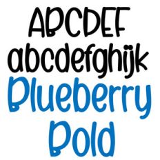 pn blueberry bold