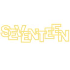 17 seventeen