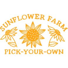 sunflower farm