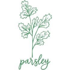 parsley herb