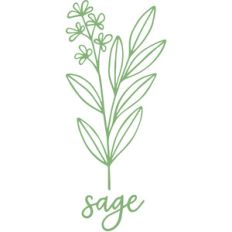 sage herb