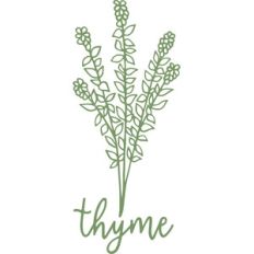 thyme herb