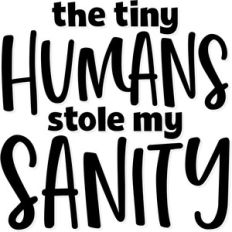 the tiny humans stole my sanity