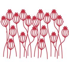 poppy seedpods border