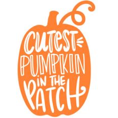 cutest little pumpkin in the patch