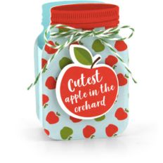 mason jar treat box apple