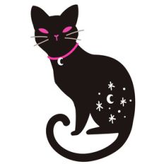 black cat