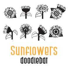 sunflowers doodlebat