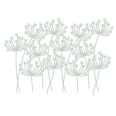 dandelion seedhead border