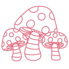 toadstools mushrooms