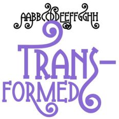 zp transformed