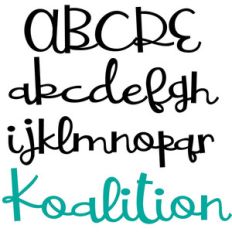 pn  koalition
